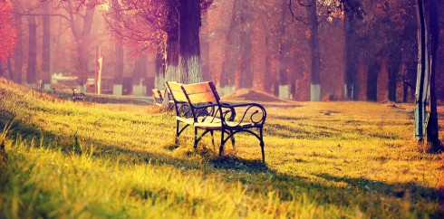 在线免费轰炸电话网页版